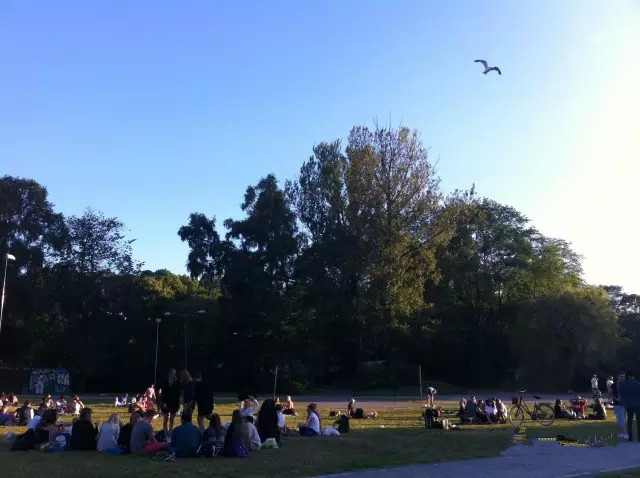 640.webp (1)_����.jpg