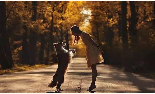 ����һ������